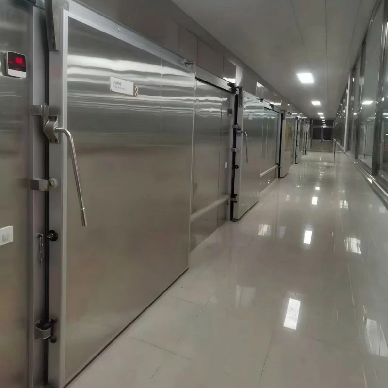 Sliding Cold Room Door