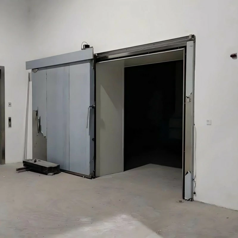 ABX Cold Room Doors for Frozen Food Distribution Center