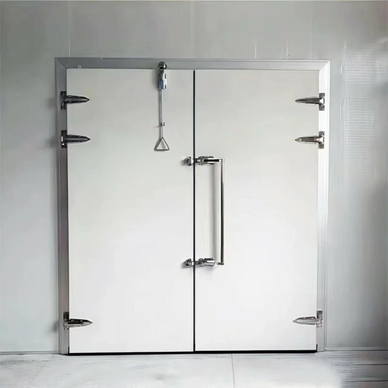 Hinged Cold Room Door